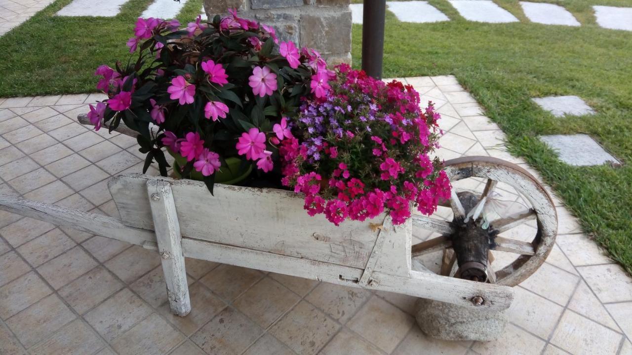 Bed and Breakfast La Cicala Stonata Дольчеаккуа Экстерьер фото